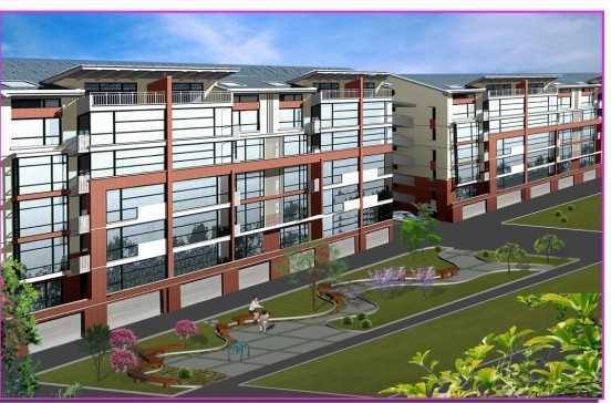 ����Է������Ʒ���