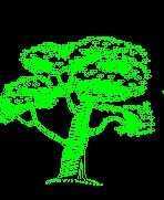 �����侰ʩ��ͼ