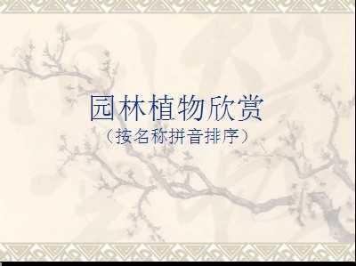 ԰��ֲ������