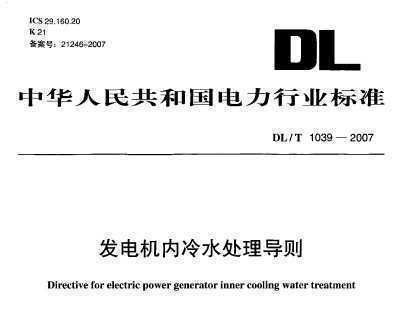 DL/T 1039-2007 ˮ