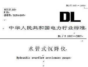 DL/T 1047-2007 ˮʽ