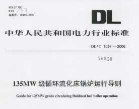 DL/T 1034-2006 135MWѭ¯е