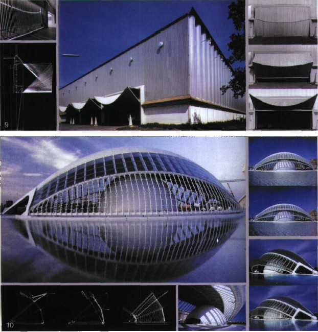 ·�����㼶��ƽ�����˶�-�ۿ��������ߵ���Ʋ���