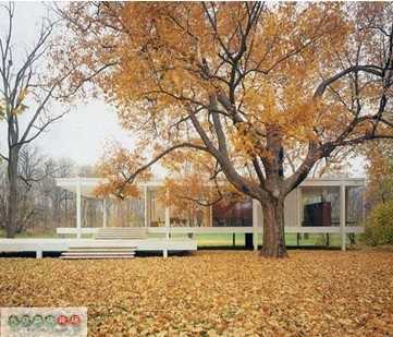 ������ʦ��Ʒ����