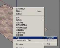 Sketchupͼϸ