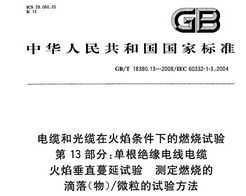 GB/T 18380.13-2008 º͹ڻµȼ 13֣Եߵ»洹ֱ ⶨȼ
