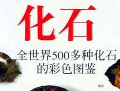 ʯ ȫ500ֻʯĲɫͼ