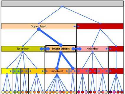 ׿Definiens professional 5.0ѵ̳