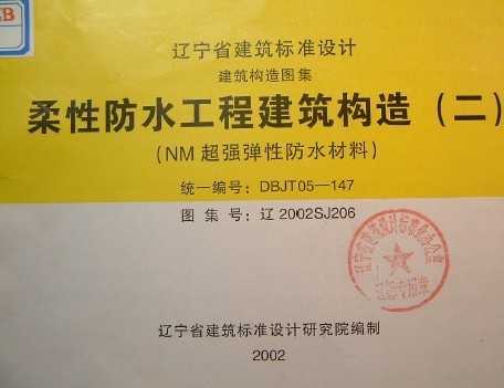 2002SJ206 Էˮ̽()