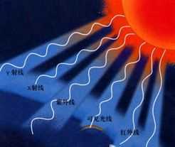 ��������ѧ�μ�