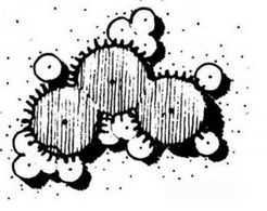 ֲ������ͼ��