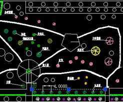 ĳ�㳡�̻��������