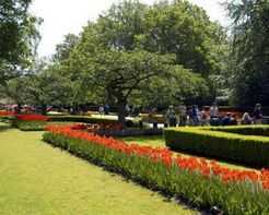 ��ϻ���԰ʵ��ͼ