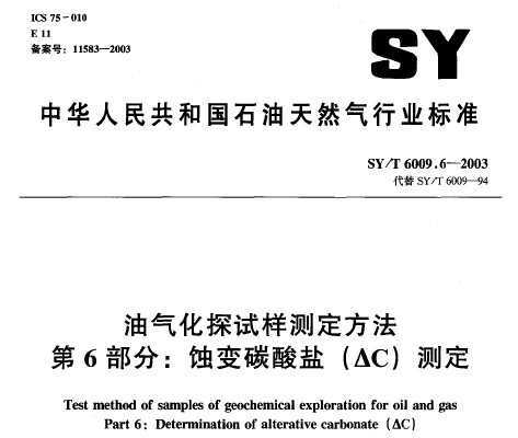 SY/T 6009.6-2003 ̽ⶨ 6֣ʴ̼(C)ⶨ