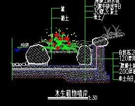 ˮ��ֲ�ﲵ����ͼ 