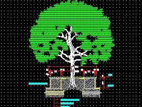 ��������������ͼ