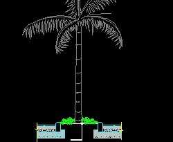 ����������ͼ