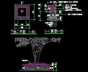 ������ͼ