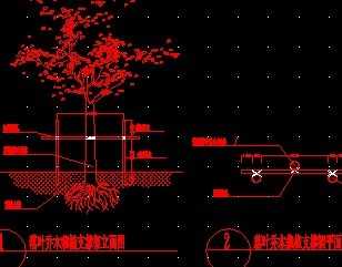 ��Ҷ��ľ��ֲ֧����ͼ