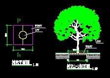 ������ͼ