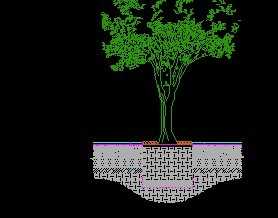 �����̵���ͼ