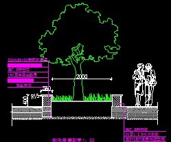 ����������ͼ