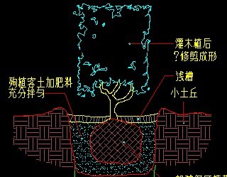 ��ľ��ֲ��׼��ͼ