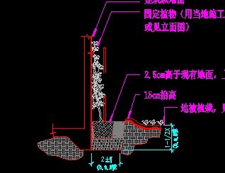 ��ľֲ��̶�ϸ����ͼ