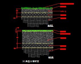 ��������������ͼ