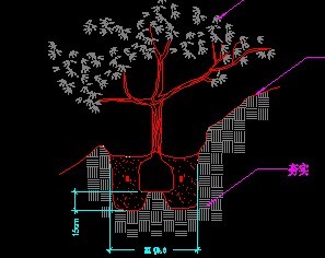 �µ�ֲ����ֲ��ͼ