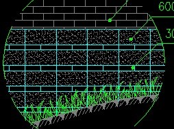 ����ǽ�Ŵ�������ͼ