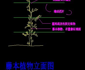 �ٱ�ֲ������ͼ��ͼ