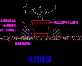 ��԰ϸ���ṹ��ͼ