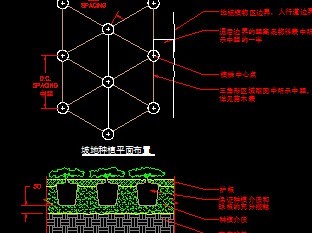 �µ���ֲ����ͼ