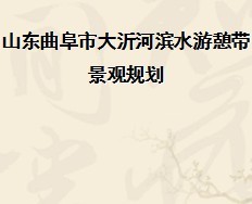 ��ˮ���������۹滮