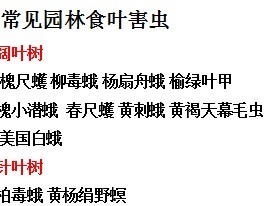 ������ѵ-����