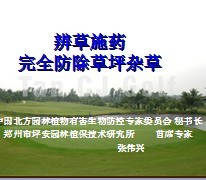 ���ʩҩ��ȫ������ƺ�Ӳ�