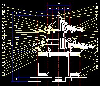 ��������ͤ