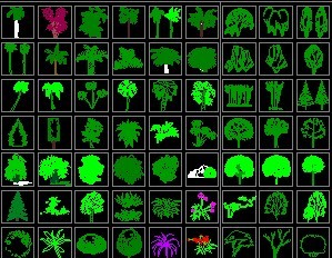 ֲ������ͼ��