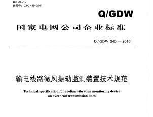 Q/GDW 245-2010 ·΢񶯼װü淶