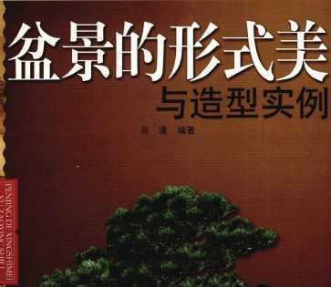 辰ʽʵ