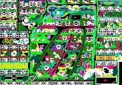 ĳ���ʻ�԰�̻��滮ƽ��ͼ