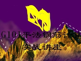 G101ƽֽʵս