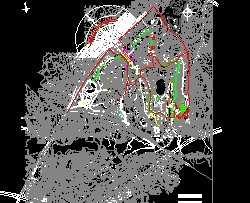 ĳ����԰2006�꾰��ƽ�����ͼ