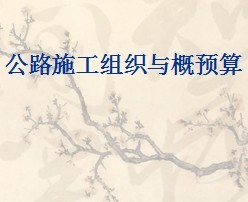 ��·ʩ����֯���Ԥ��