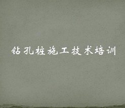 ���׮ʩ��������ѵ