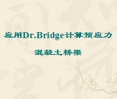 Ӧ��Dr.Bridge����ԤӦ������������