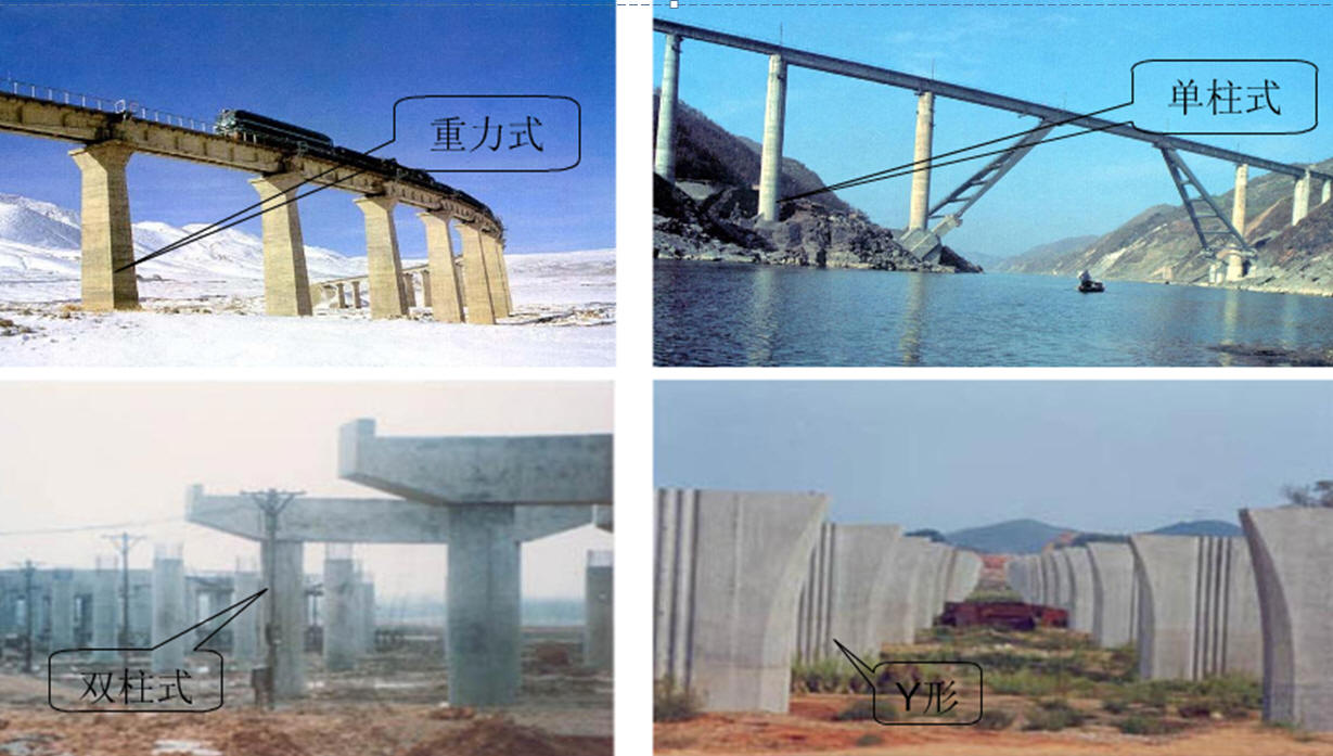 �Ŷ�����