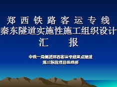 ��·����ר��ʵʩ��ʩ����֯��ƻ㱨����