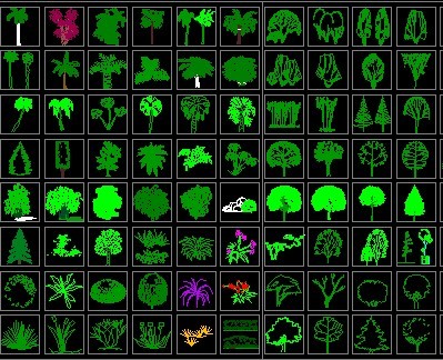 ֲ������